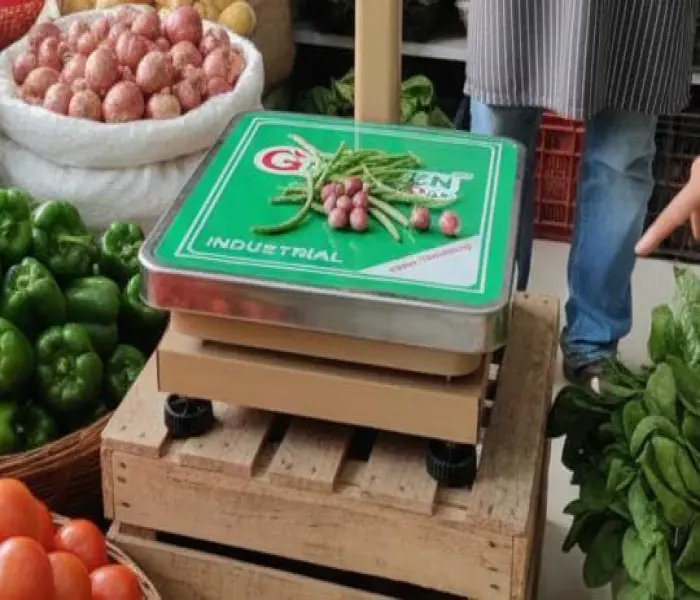 Digital Scale Image 4